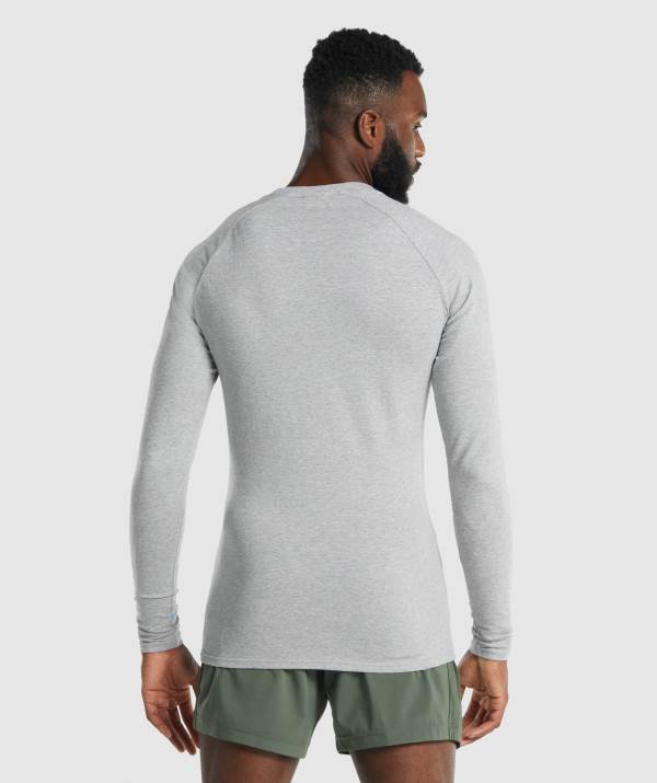 Panske Mikiny Gymshark Apollo Long Sleeve Svetlo Siva | CT8306491